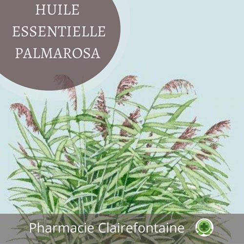 Pharmacien Le Mans